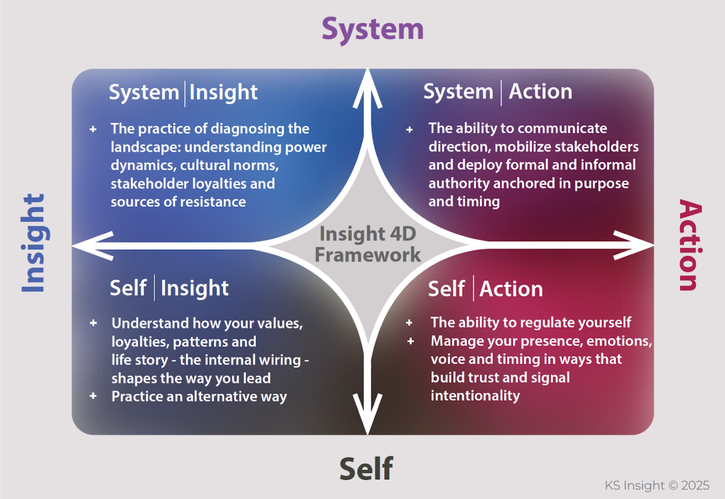 Insight 4D Framework Diagram